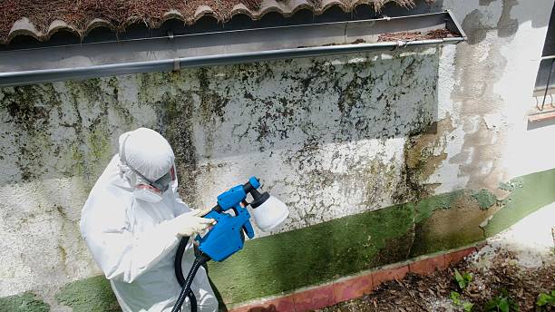Top rated local Mold Remediation specialists in Middleburg, PA